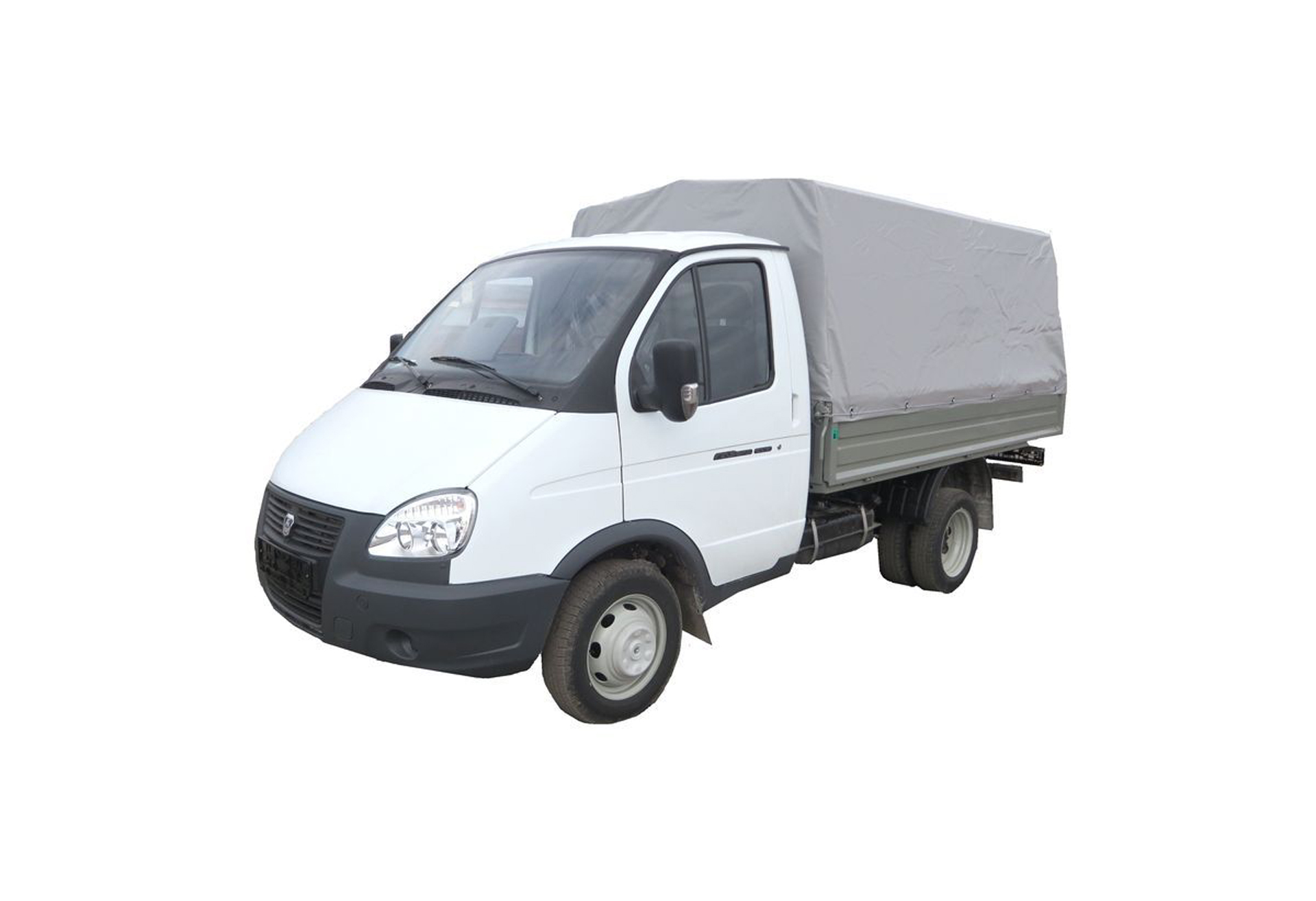 Белая газель
